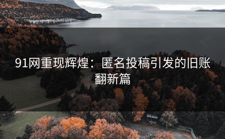 91网重现辉煌：匿名投稿引发的旧账翻新篇