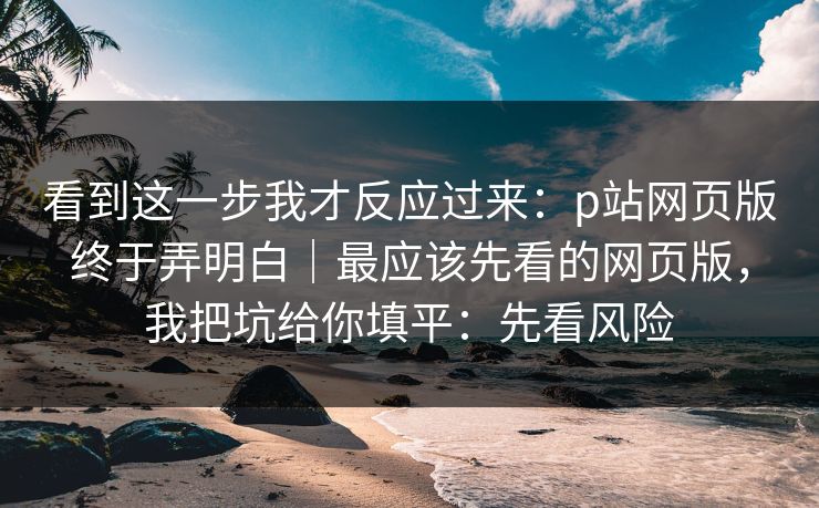 看到这一步我才反应过来：p站网页版终于弄明白｜最应该先看的网页版，我把坑给你填平：先看风险